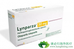 �����������ϻ��������ܹ��ӳ��ѳ������ߵ���λ�޽�չ������