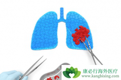 �ΰ�ҩ�ﰲ������ĸ�ҩ��ʽ��Ӧ������