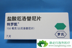 ʹ��һ��EGFR-TKI������������ҩ����ô�죿