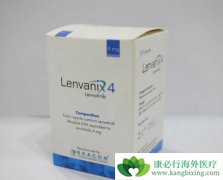 ��������ΰ�������˵�ַ���������������ȫ�泬Խ�༪��