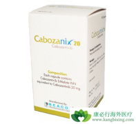 ���ڰ�֢��ת�ƻ��߿�������һ���������ҩ��һ������