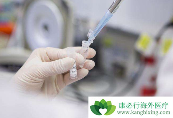 白血病治疗 白血病治疗