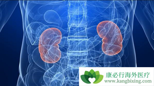 肾上腺肿瘤 肾上腺肿瘤