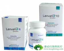 �ַ�����/�ط�����ĸΰ���λ�����ڱȶ༪����Ҫ��