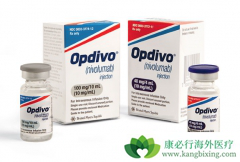 PD-1���Ƽ�Kҩ��Oҩ���Խ���ʹ����