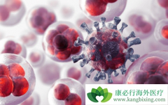 �������������������ڻ��ߵ�һ�����ƻ�����Щ��չ��