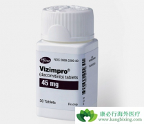 ��һ��EGFR���Ƽ�����������ϣ�������Ч��ô����