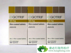 �����������й����۰����ߵĶ������Ʒ�����