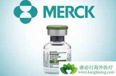 Keytruda���ڹ������Ʒ�Сϸ���ΰ�����