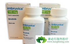 �޷����������ܰͰ�Ѫ���ı�׼���ϻ��Ʒ����ɻ�����³������