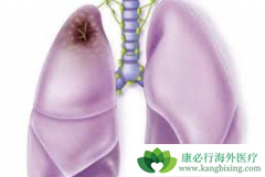 �����鵥�����й���Сϸ���ΰ����ߵ���Ч�Եõ�֤ʵ