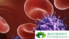 ��ɼ����ʵ�ֿ����������ϲ����̲�����Ⱦ���ߵĳ����޽�չ����