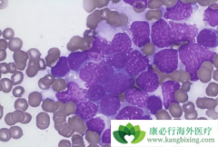 ��ο˷��෢�Թ��������ƺ����ҩ��