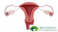 �ѳ���������ν����жϣ������ѳ�����������Щ��