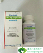 ��³���������������������WM��Ч��