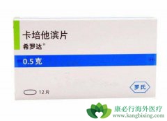 ���������Կ����������µ������ۺ�֢����Ǳ�ڵ�Ԥ������