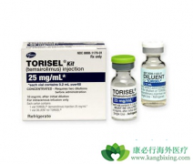 ̹��Ī˾(Torisel)������������ϸ��������