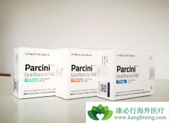 ��������(palbonix)������ҩ�������ӳ���õ������ڣ�