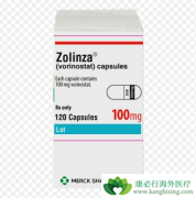 ����ŵ��(vorinostat)���ƽ�ĸϸ����������С