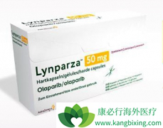 PARP���Ƽ��������᾿�����������ٰ�ҩ������ģ�