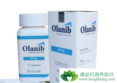 ���������������ٰ��ڼ���һ�����ջ�������԰�Ѫ��