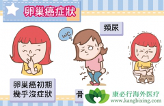 �ѳ������ƿ���ʹ������ϸ����������