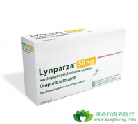 PARP���Ƽ��Ȱ���ҩ��Ϊ�ѳ������ߴ���������ϣ��