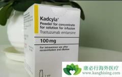 T-DM1�ɽ��������ٰ��������ս���50%