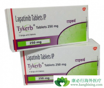 ��������(lapatinib)���ӳ����ߵ�����ʱ����