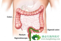 ��ֱ�����İ�������ҩ������Щ��