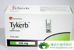 ©����һ����������(Tykerb)��ô�죿