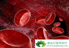 �����Ƕ�ͯ���԰�Ѫ�������Ƶ���Ҫ����