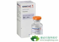 ������(erbitux)��ʲôʱ���ڹ������еģ�