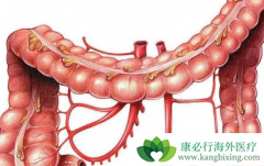 �᳦��ϸ��ת�ƺ�֢���˳�ʲô�ã�