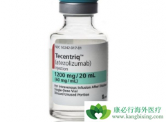 �������ٰ���Сϸ���ΰ�������ʹ�ð����鵥������