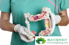 ��ɳ�����ڽ�ֱ������������ʲôȱ�㣿