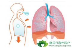 �����շ������Է��׵����ض�����Щ��