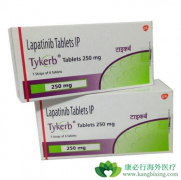 ER�ͱ����ER���Ժ�HER2�������ٰ����߻�ɴ��������������л���