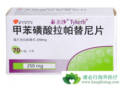 ��������(lapatinib)���Ͽ����������ӳ����ٰ�����������չʱ��