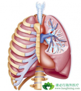 Ϊʲô�ζ�����ѹ֢״��ת��Ҫ������ҩ��