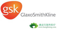 GSK����PD-1���Ƽ�dostarlimab�����ӹ���Ĥ������Ч��ô����