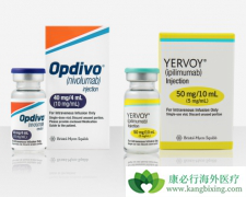 PD-1���Ƽ�Oҩ���Ʒ�Сϸ���ΰ�����Ч��ô����