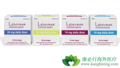 �ַ����������ѳ������ӹ���Ĥ����Ч������