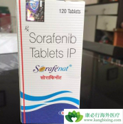 �������������ж༪����������������Щ��֮ͬ����