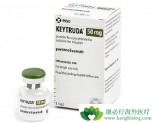 �ڹ������е�PD-1�����������ƶ����ļ��֣�