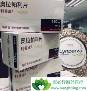 PARP���Ƽ���ǰ���ٰ������е���������Щ��