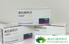 �����������Ƹ������ѳ������ߵ�Ч����ô����