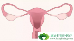 PET/CT��Ԥ�ⱴ�������Թ����۰�����Ч��