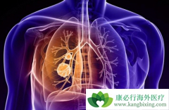 �����ڷ��۰����Ƶķ��Ӱ���ҩ������Щ��