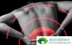 ������ֲ����谩/�������ܻ��ã�